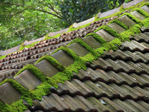 Démoussage de toiture à Saint-Germain-du-Corbéis